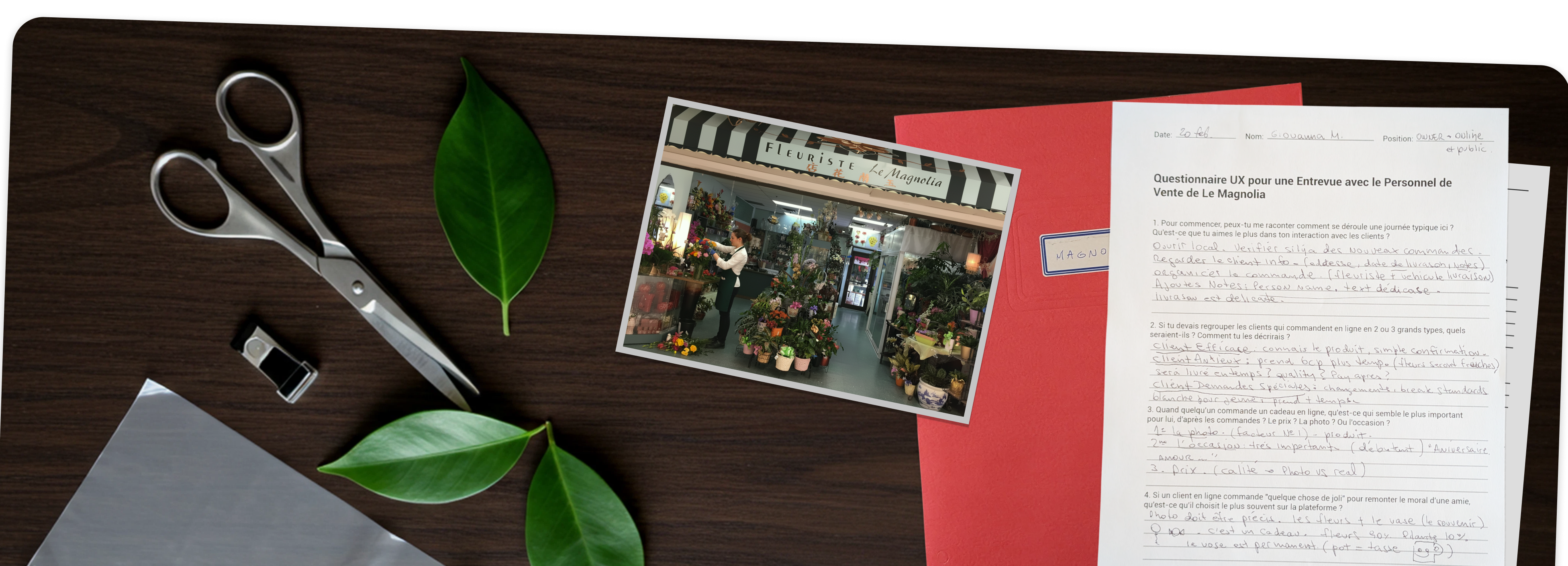 Visual representation of The Magnolia project